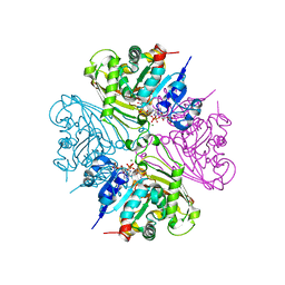 BU of 4dpm by Molmil