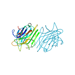 BU of 4dpn by Molmil