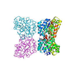 BU of 4dpq by Molmil