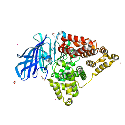 BU of 4dpr by Molmil