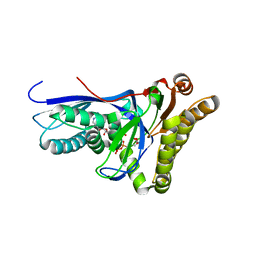 BU of 4dpu by Molmil