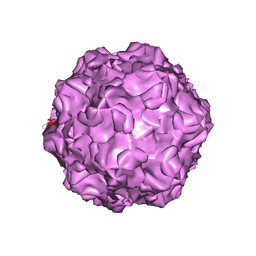 BU of 4dpv by Molmil