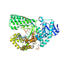 BU of 4dqi by Molmil