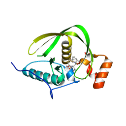 BU of 4dr9 by Molmil