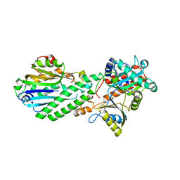 BU of 4drf by Molmil