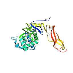 BU of 4drt by Molmil