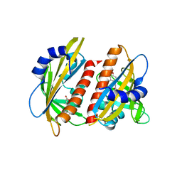 BU of 4dsb by Molmil