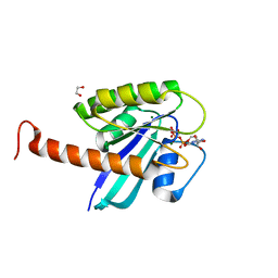 BU of 4dsn by Molmil