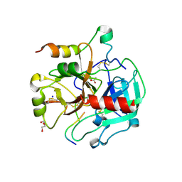 BU of 4dt7 by Molmil