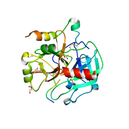 BU of 4dt7 by Molmil