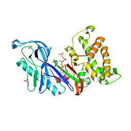 BU of 4dth by Molmil