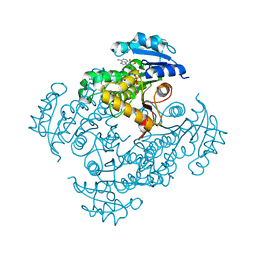 BU of 4dti by Molmil