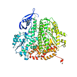 BU of 4dtj by Molmil