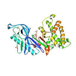 BU of 4dtl by Molmil