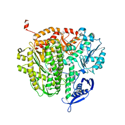 BU of 4dtp by Molmil