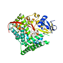 BU of 4due by Molmil