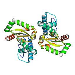 BU of 4dvh by Molmil