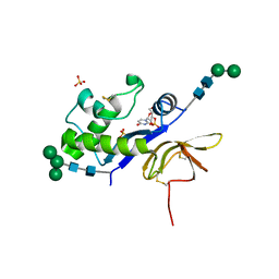 BU of 4dvl by Molmil