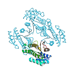 BU of 4dyv by Molmil