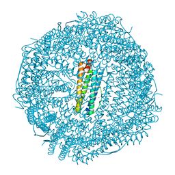 BU of 4dyx by Molmil