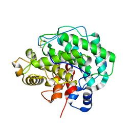 AU of 4e25 by Molmil