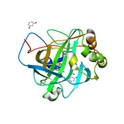 BU of 4e49 by Molmil