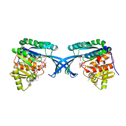 BU of 4e84 by Molmil