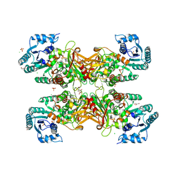 AU of 4e9i by Molmil
