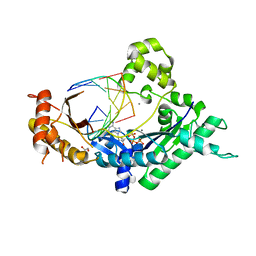 BU of 4ebc by Molmil