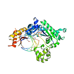 BU of 4ebd by Molmil