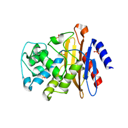 BU of 4ebp by Molmil