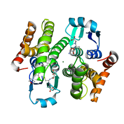 BU of 4ec0 by Molmil