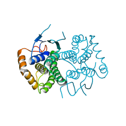 BU of 4ecc by Molmil