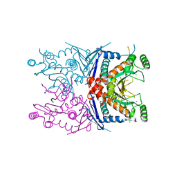 BU of 4ecd by Molmil