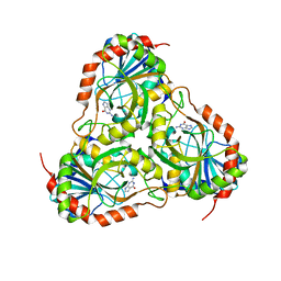 BU of 4ece by Molmil