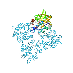 BU of 4ecm by Molmil