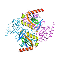 BU of 4ecp by Molmil