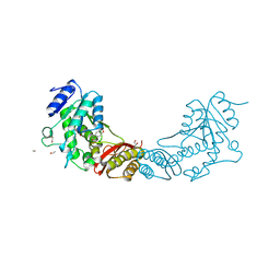 BU of 4ef6 by Molmil