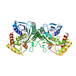 AU of 4ef7 by Molmil