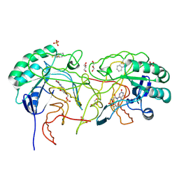 BU of 4ef8 by Molmil