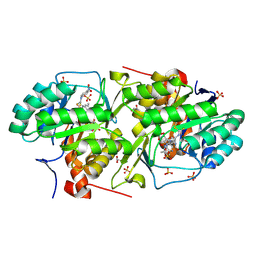BU of 4ef9 by Molmil