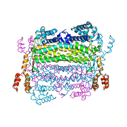 BU of 4efc by Molmil