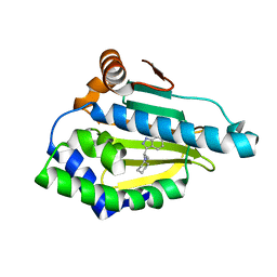 BU of 4eft by Molmil