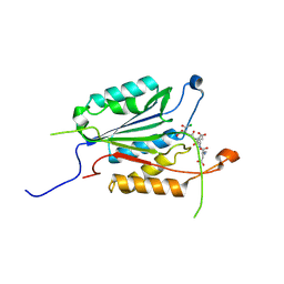 BU of 4ehd by Molmil