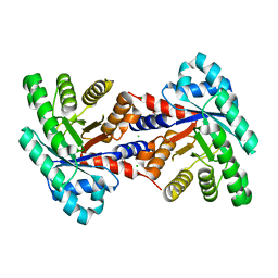 BU of 4eiv by Molmil