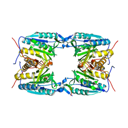 BU of 4ejf by Molmil