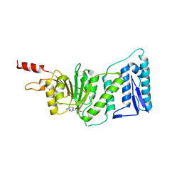 BU of 4ekg by Molmil