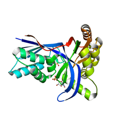 BU of 4emd by Molmil