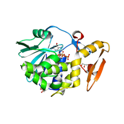 BU of 4emf by Molmil