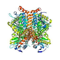 BU of 4eml by Molmil